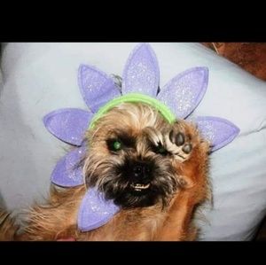 Meet your Posher, Robin